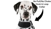 Wireless GPS Tracking Collars for Hunting Dogs Realtime Tracking Tool Size:XS