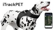 Pet Tracker Waterproof GSM GPS Dog Tracking Devices Wireless Pet Security Size:L