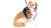 Pet Tracker Pet Locator Collar Mounted Best Dog GPS GSM Tracker Waterproof Size:L