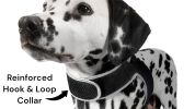 Waterproof Tracking Collars for Hunting Dogs Realtime GPS Pet Tracker Size:XS