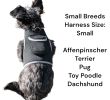 Waterproof Pet Tracker Mini Portable GSM Pet Locator Best GPS Dog Tracker Size:XS