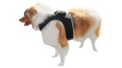 Waterproof Mini Cell Phone Pet Tracker Dog Cat Collar Mount GPS Device Size:XS