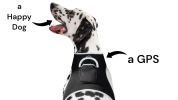 Pocket Cat Dog GPS Tracking Collar Device Realtime Tracker Waterproof Size:L