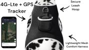 Pet Tracker Motion Detection Rechargeable Pet Finder Best GPS Dog Tracker Size:L