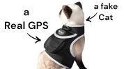 Waterproof Pet Tracker Mini Portable GSM Pet Locator Best GPS Dog Tracker Size:XS