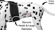 Waterproof Mini Cell Phone Pet Tracker Dog Cat Collar Mount GPS Device Size:XS